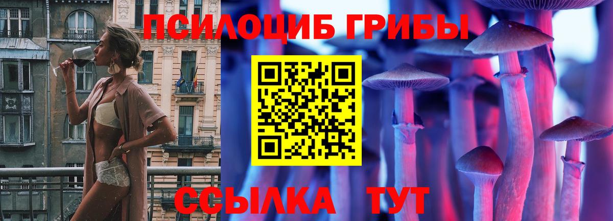 Галлюциногенные грибы Psilocybine cubensis  Вход с VPN  Алексеевка 