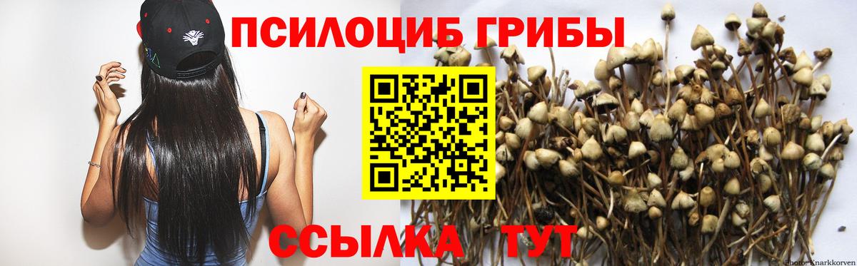 Галлюциногенные грибы мицелий Алексеевка